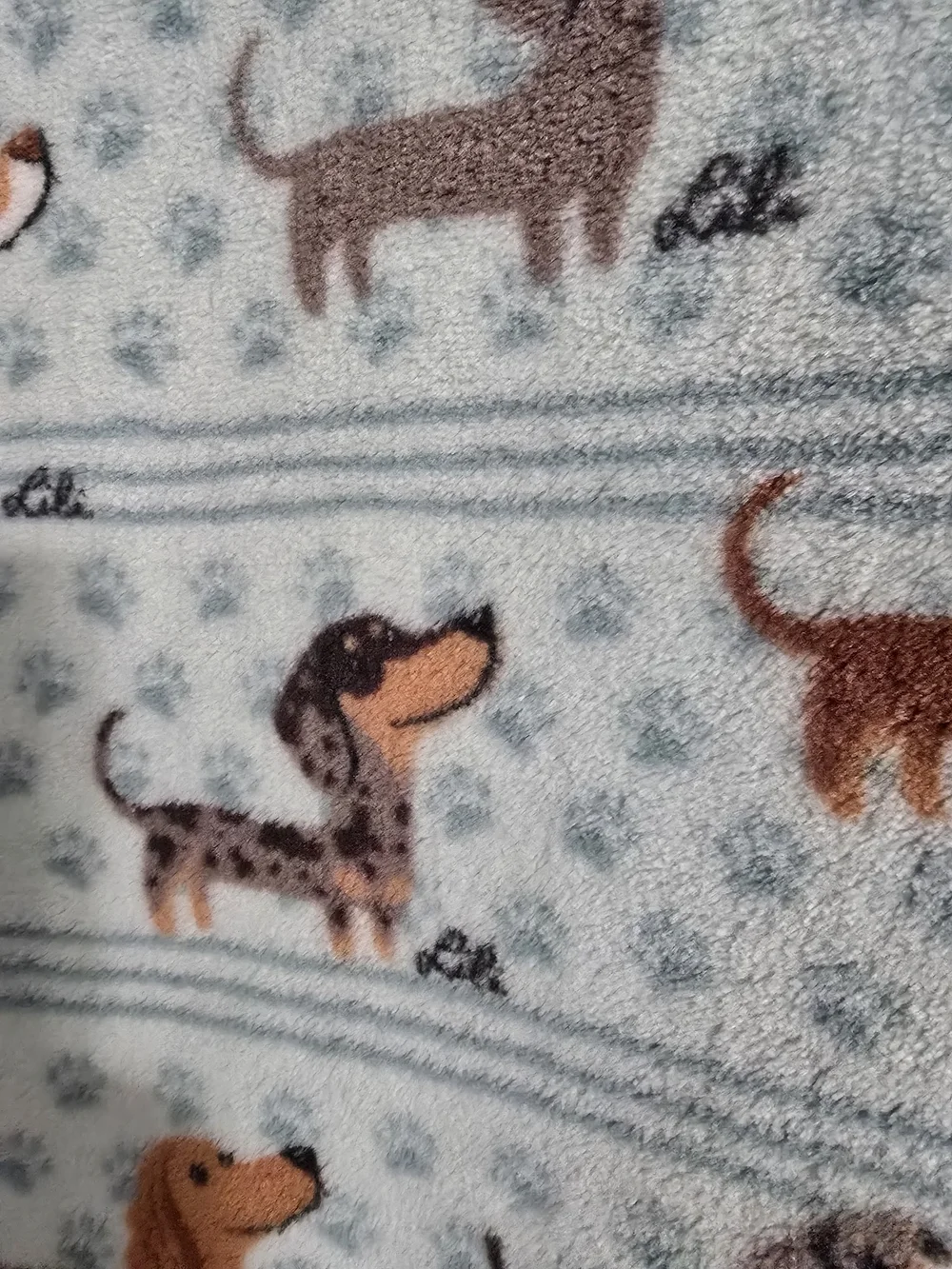 Berkshire/Lili Chin Aqua Multi- Dachshund Pattern Plush Throw